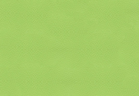 Acid Green Imitation Leather