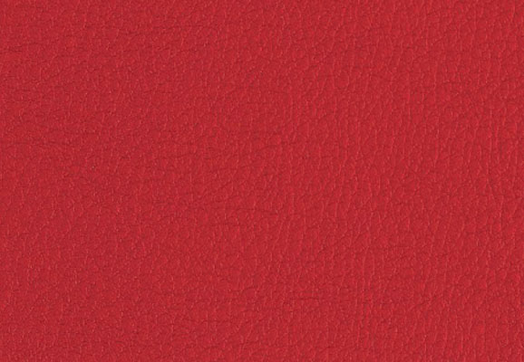 Red Imitation Leather