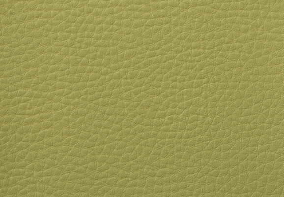 Green Imitation Leather